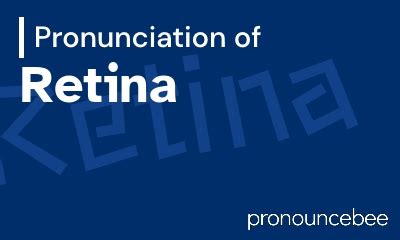 retina pronunciation|retina pronunciation definition.